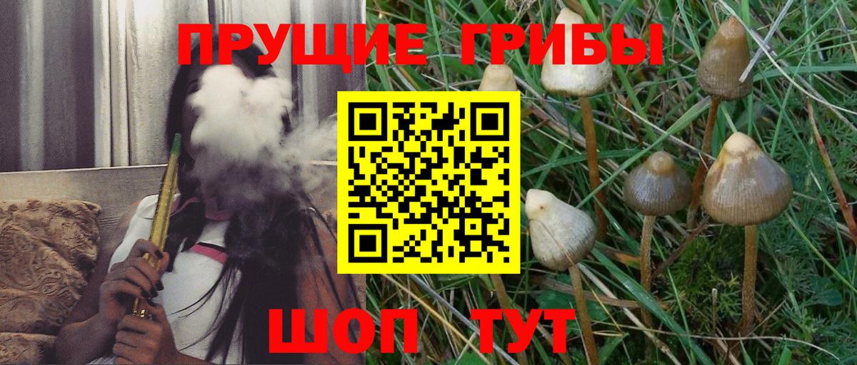 Галлюциногенные грибы мицелий Тимашёвск