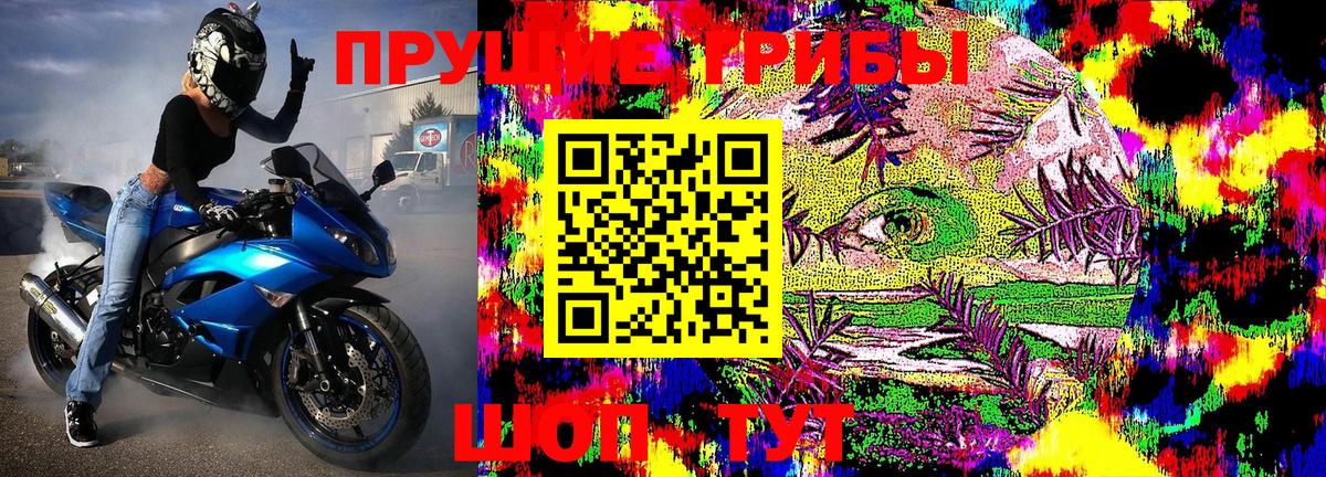Тимашёвск  Галлюциногенные грибы прущие грибы  Вход с VPN 